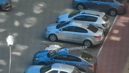 Труп человека обнаружили на улице Суворова в Воронеже