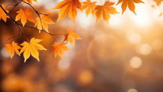 Прогноз погоды на 17.10.2025