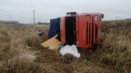 В Воронежской области КамАЗ вылетел в кювет и перевернулся: водитель погиб