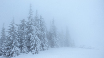 Стало известно, дойдут ли до Воронежа мощные московские снегопады
