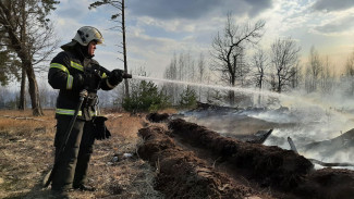 В районе Воронежской области локализовали мощный пожар 