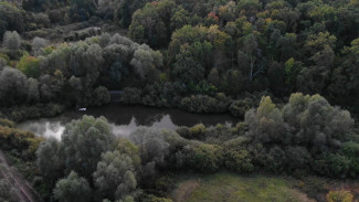 Охрану лесов усилили в Воронежской области из-за жары