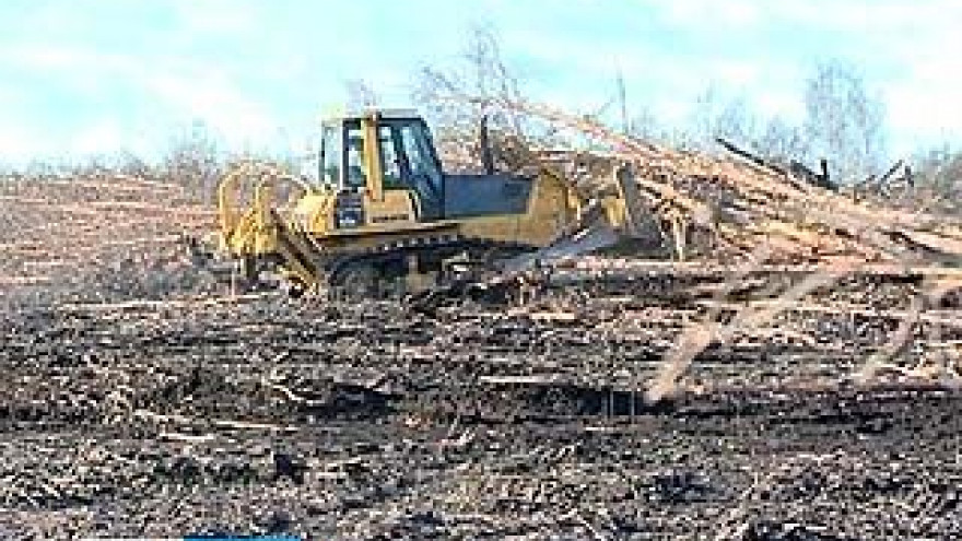 За 2 года удалось расчистить только половину сгоревших в 2010-м лесов