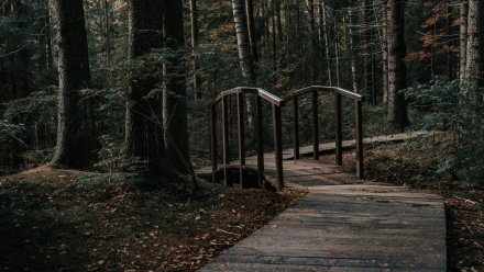 В нацпарке «Земля леопарда» открыта новая экотропа