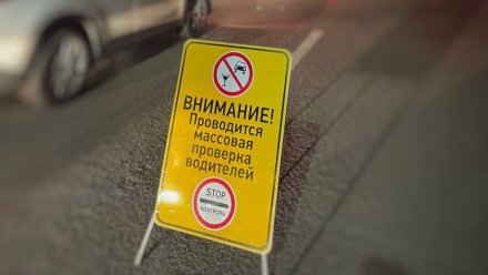 В Воронежской области пройдёт «охота» на нетрезвых водителей