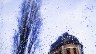 Вторая рабочая неделя ноября в Воронеже будет дождливой и снежной