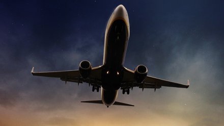 Пилоты развернули самолёт «Москва – Баку» в небе над Воронежской областью