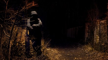 Названы два самых криминальных района Воронежской области