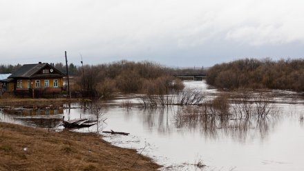 В Воронежской области под угрозой затопления оказались 55 сёл