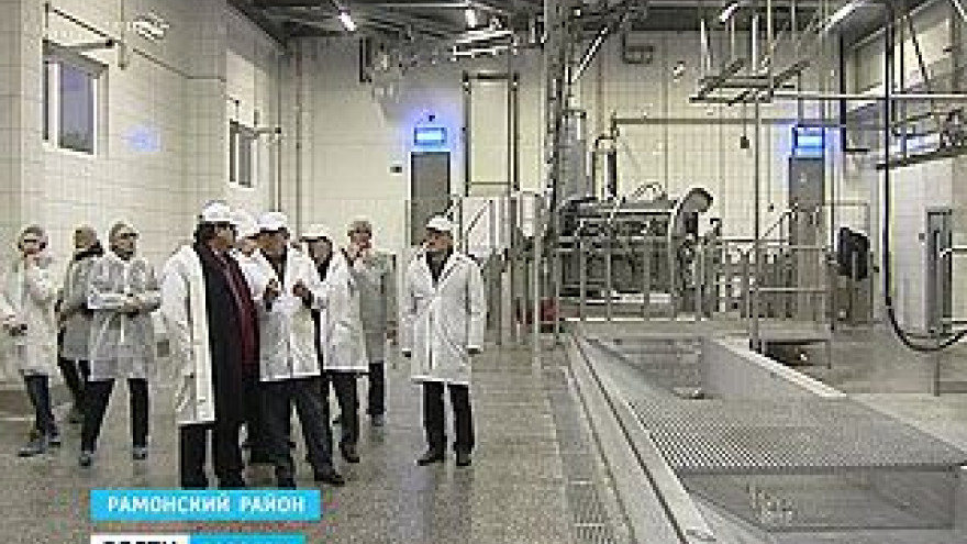 Мясной кластер Воронежа порадовал столичных контролёров не меньше молочного