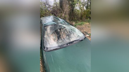 В Воронеже пьяный автомобилист вылетел в кювет и врезался в дерево