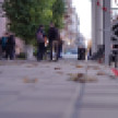 Новые остановки в центре Воронежа оборудовали трубами для слива воды