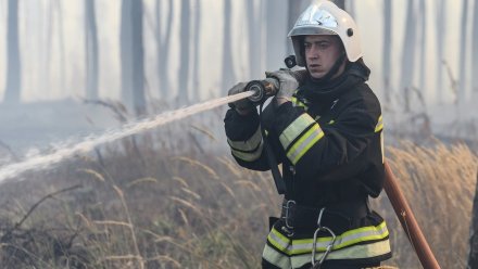 В Воронежской области потушили ещё один крупный лесной пожар