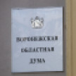 От 0,3 рублей до 3 млрд. Сколько заработали кандидаты в депутаты воронежской облдумы в 2024-м