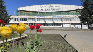 На ремонт ДС «Юбилейный» в Воронеже дополнительно направят 25 млн рублей