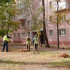 В Воронеже начался месячник благоустройства