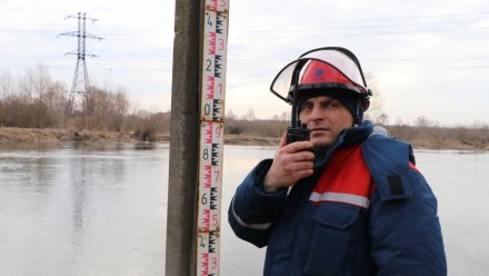 Воронежэнерго подготовил электросетевой комплекс к паводку