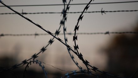 В Воронежской области опять запретили свидания с заключёнными