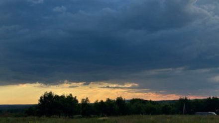 Опасность атаки беспилотников Украины объявили в Воронежской области 