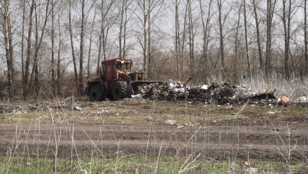 Губернатор поручил уничтожить огромную свалку на Землячки 