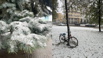 В Воронеже пошёл первый снегопад 
