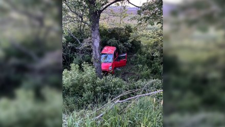 Автомобилистка на Daewoo Matiz разбилась в ДТП с деревом в Воронеже