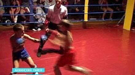 В Аннинском районе провели областной чемпионат по рукопашному бою