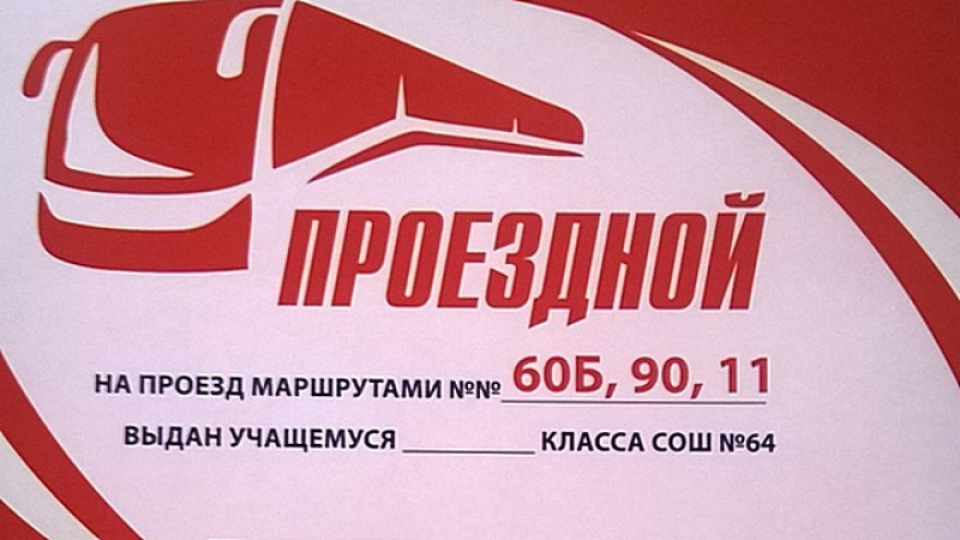 Родители воронежских школьников повздорили с маршрутчиками из-за бесплатных проездных