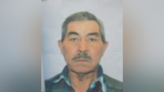 В Воронежской области 69-летний мужчина исчез по дороге на дачу
