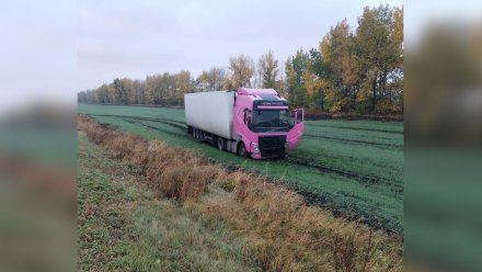 Водитель грузовика ответит в суде за ДТП с 4 пострадавшими в Поворинском районе
