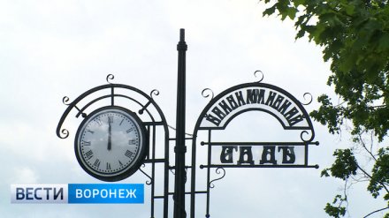 Разработку концепции благоустройства «Бринкманского сада» в Воронеже выставили на конкурс