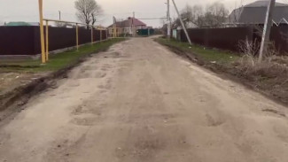 Жители села под Воронежем пожаловались на разбитую дорогу 