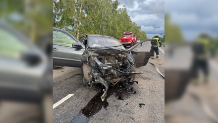 Мужчина погиб в искорёженной после ДТП «Ладе» на трассе Воронеж – Луганск