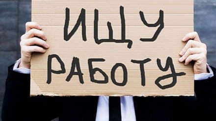 Аналитики назвали профессии со свободным графиком работы в Воронеже