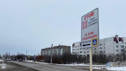 Зловещие знаки начали устанавливать на дорогах в Воронежской области