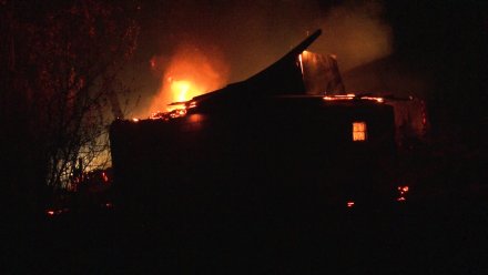 Под Воронежем ландшафтный пожар повредил жилой дом