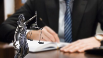 Обманутые юридической фирмой воронежцы добились уголовного дела