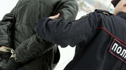 Пенсионера из воронежского села отправили в тюрьму за нападение с палкой на полицейского