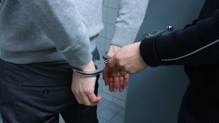 Белгородцы выманили у воронежской пенсионерки 6 млн по паролю «Рассвет» и попали под дело