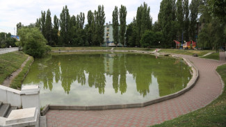 В Воронеже осушат захваченное водорослями озеро на улице Минской