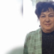 В Воронеже забуксовало расследование уголовного дела о смертельном ДТП на зебре