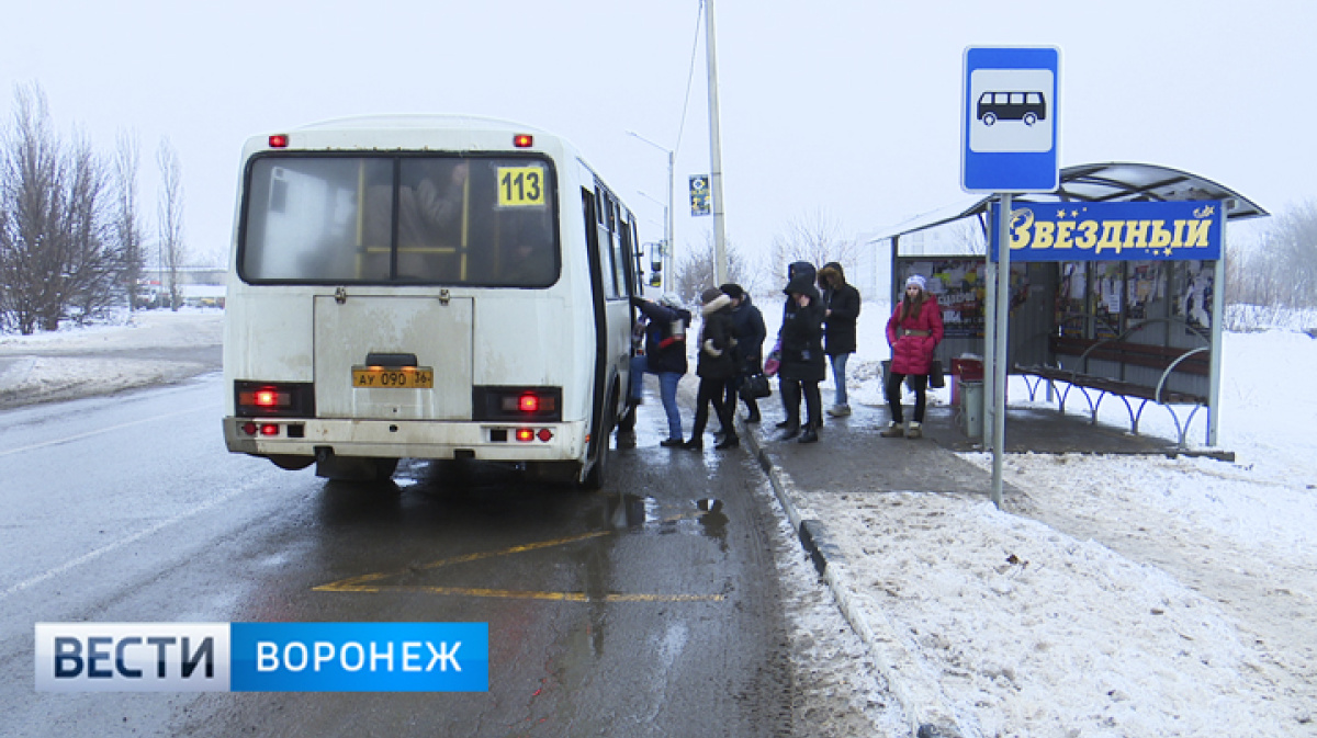 Пустят ли в Шилово новые маршрутки – Новости Воронежа и Воронежской области  – Вести-Воронеж