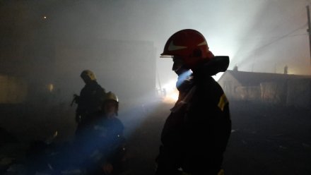 В Воронежской области локализовали один из трёх крупнейших лесных пожаров