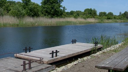 В Воронежской области утвердили береговые линии 12 водоёмов