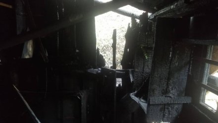 В Воронеже двое мужчин ответят в суде за сожжение человека заживо в доме на Цюрупы