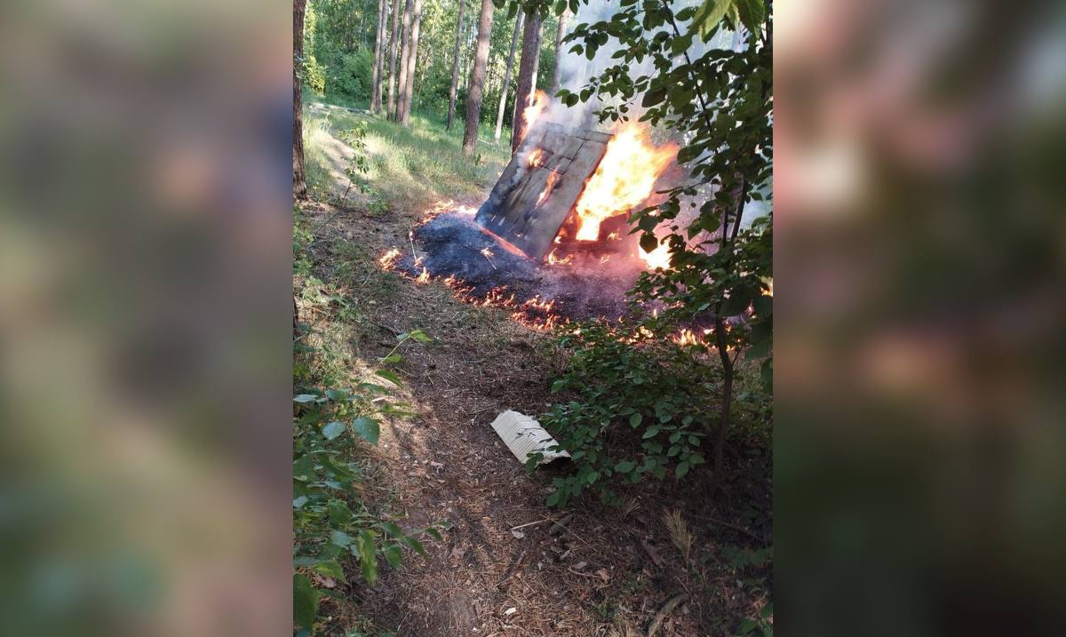 В Воронеже неизвестный взорвал собачью будку и устроил пожар в лесу –  Новости Воронежа и Воронежской области – Вести Воронеж