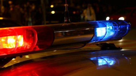 В Воронеже пойдёт под суд водитель, сбивший 67-летнюю пенсионерку