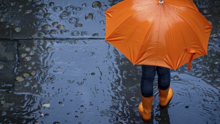 Принесёт ли циклон «‎Барбара»‎ дожди в Воронежскую область?