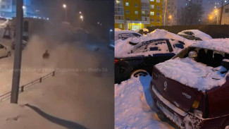 Госжилинспекция прокомментировала падение снежных лавин в воронежских ЖК