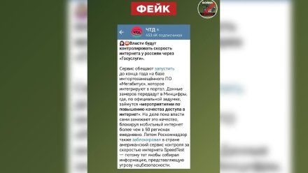 В Воронеже распространили фейк о контроле интернета властями
